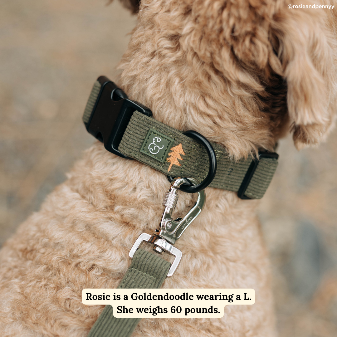Take a Hike Corduroy Collar