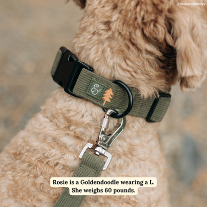 Take a Hike Corduroy Collar