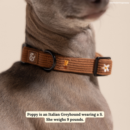 Chocolate Meadows Corduroy Collar