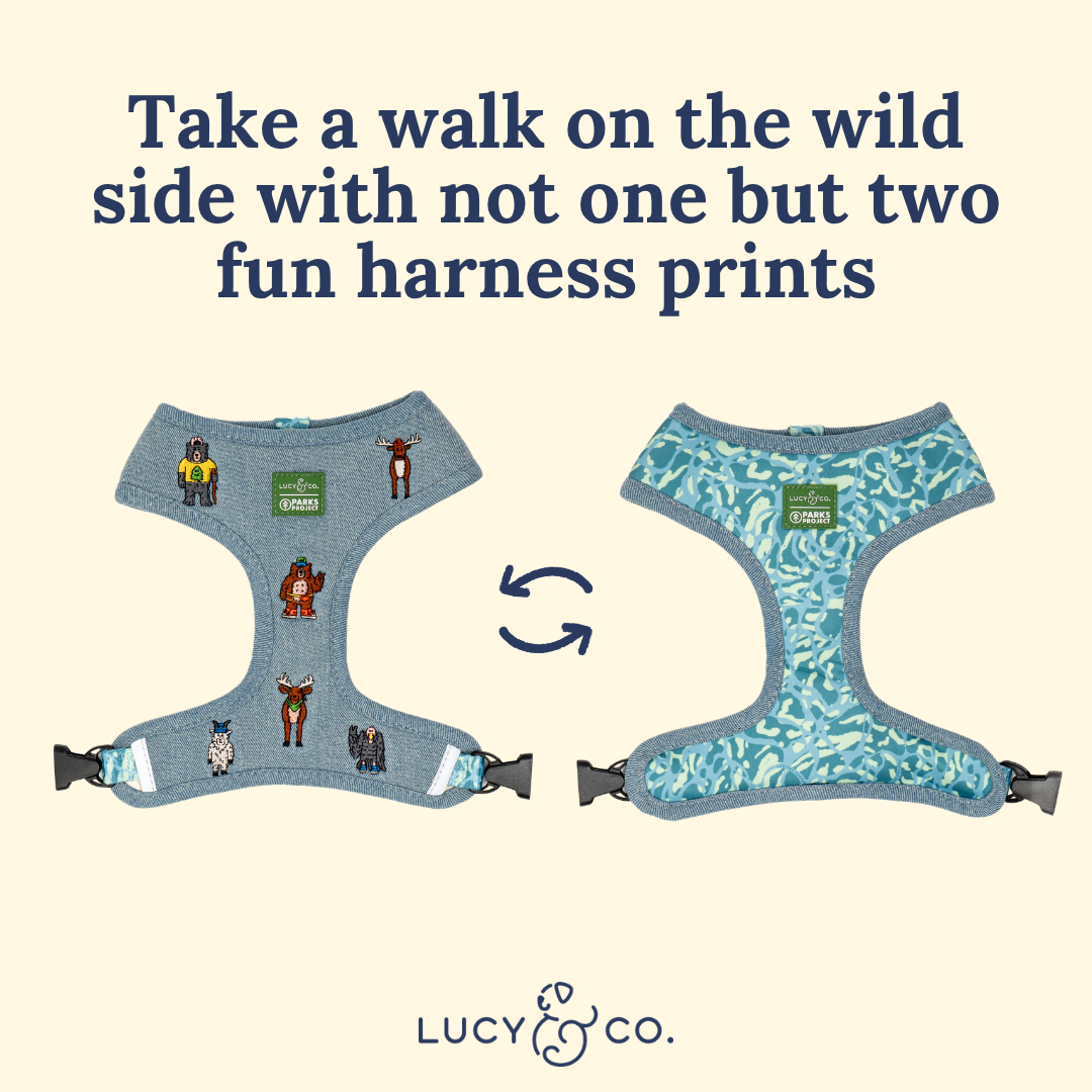 Lucy & Co. x Parks Project Adventures with Friends Reversible Harness