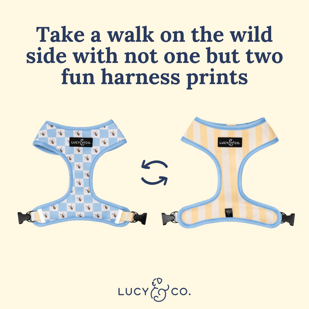 Bumbling Around Reversible Harness