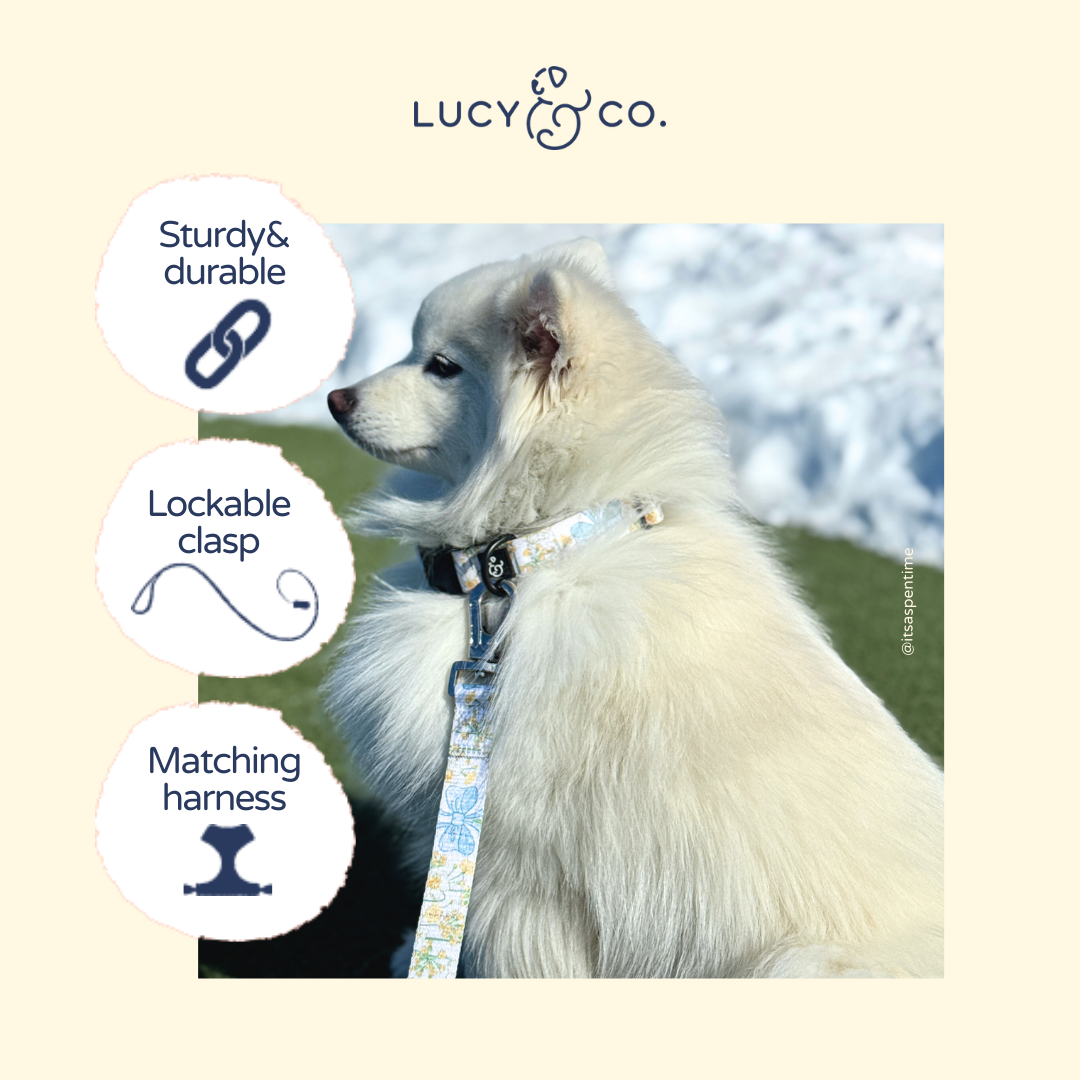 Sunshine and Daffodils Leash