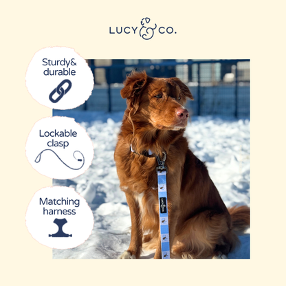 Bumbling Around Leash