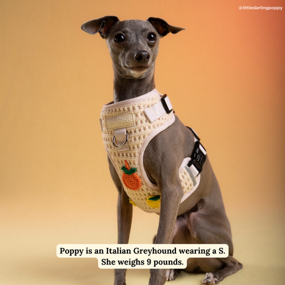 Main Squeeze Crochet No-Pull Harness