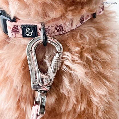 Iced Coffee SZN Collar