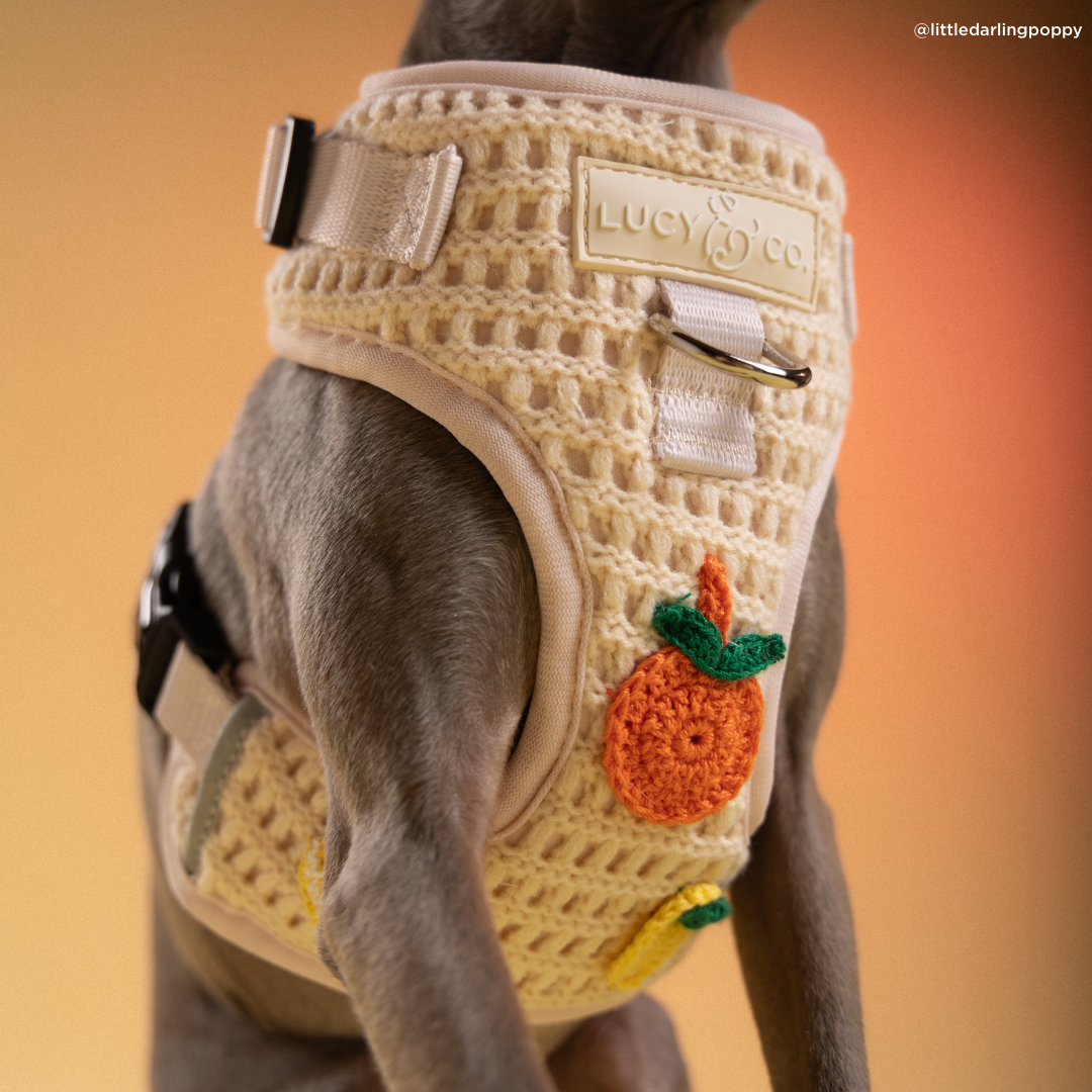 Main Squeeze Crochet No-Pull Harness