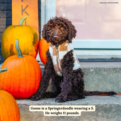 Playing Checkers Reversible Teddy Vest