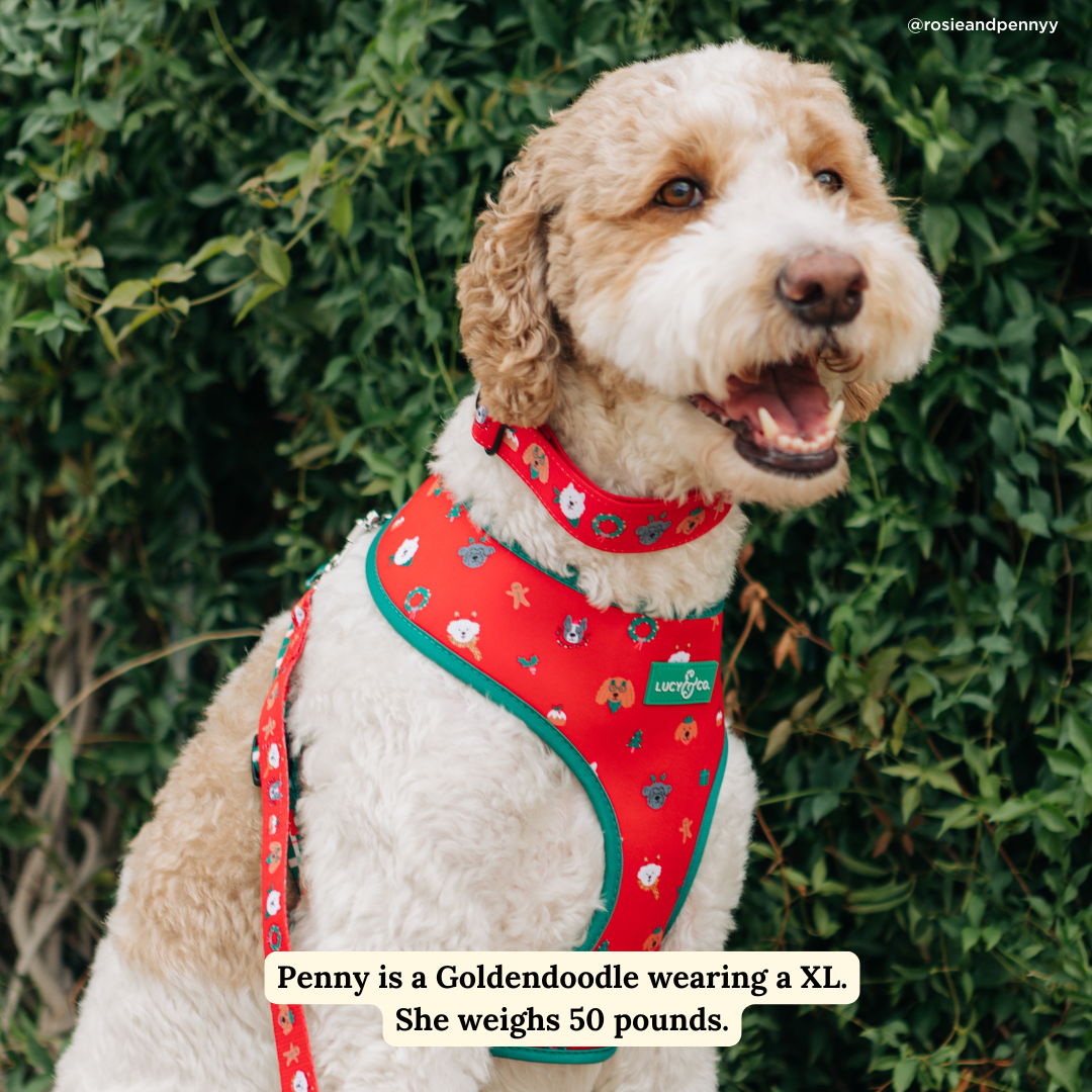 Happy Howlidays Reversible Harness