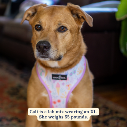 Life's a Beach Reversible Harness