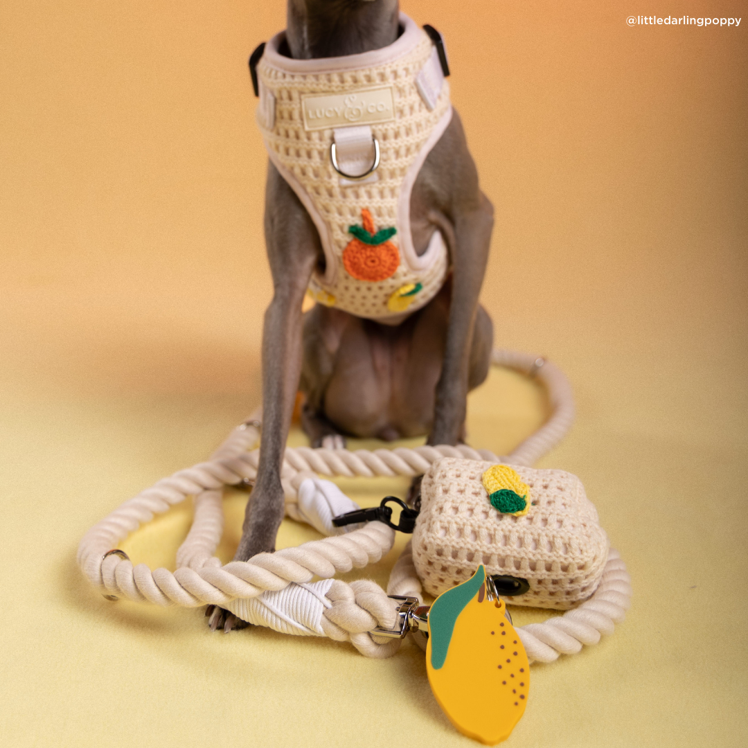 Main Squeeze Hands-Free Rope Leash