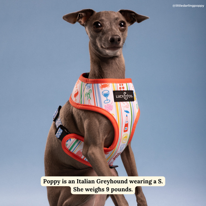 Sunny in Sicily Reversible Harness