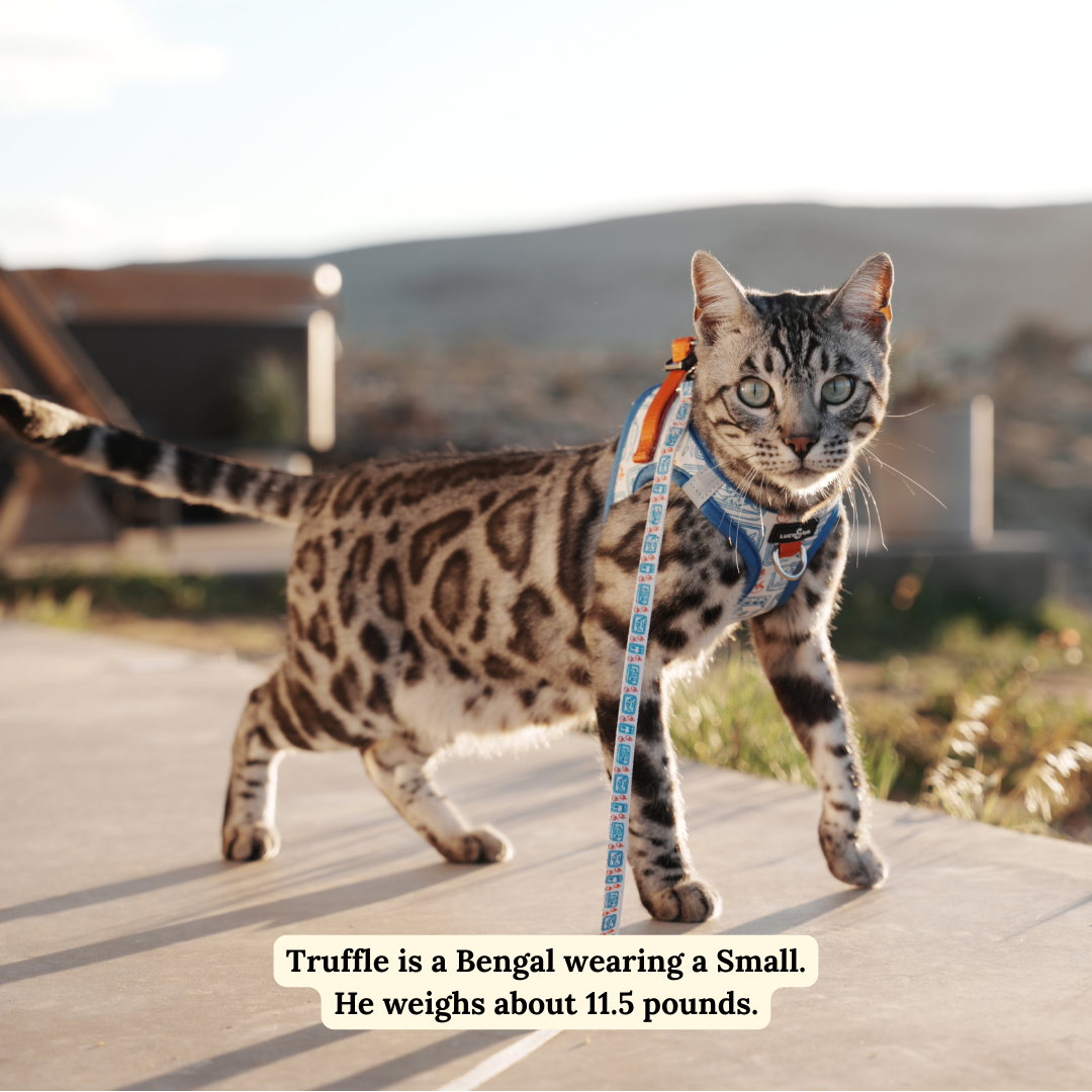 Tinned Fish Step-in Cat Harness