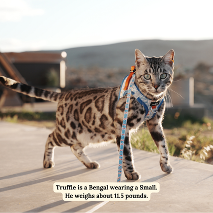 Tinned Fish Step-in Cat Harness