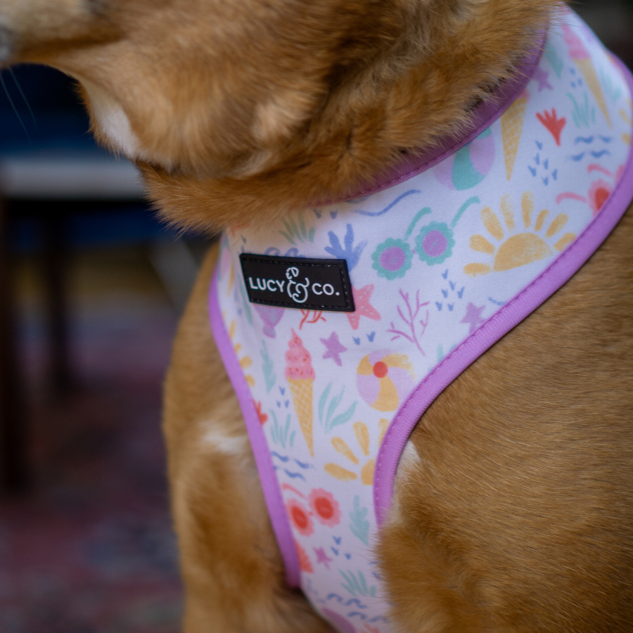 Life's a Beach Reversible Harness
