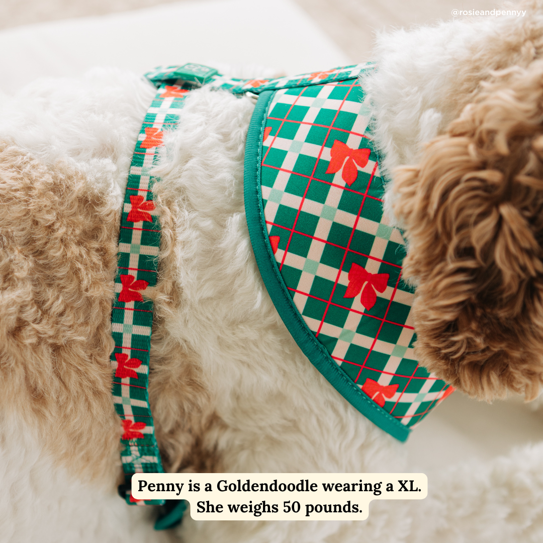 Happy Howlidays Reversible Harness