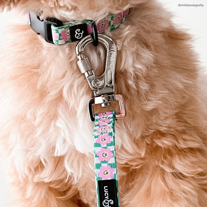 Just Chill Collar