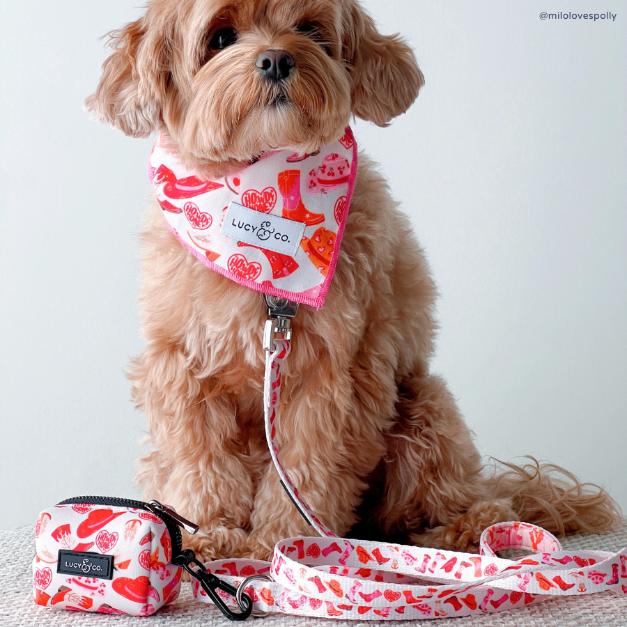 Howdy, Honey Poop Bag Holder