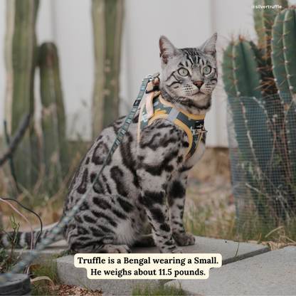 Looking Sharp Step-in Cat Harness