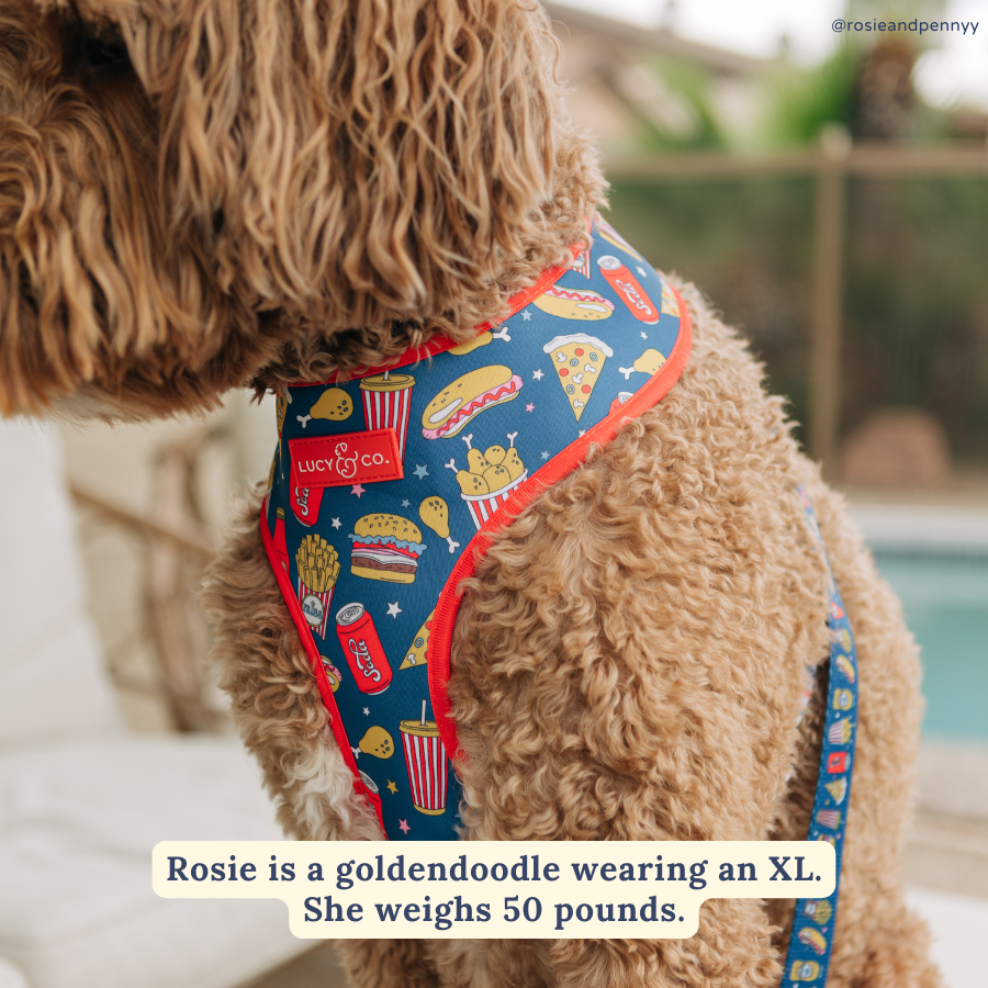 Red, White & BBQ Reversible Harness