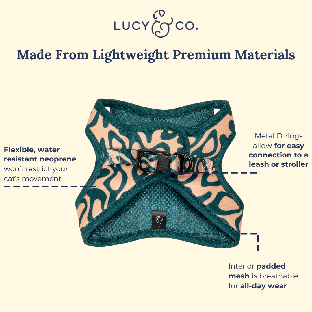 Lucy & Co. x Parks Project Geyser Step-in Cat Harness