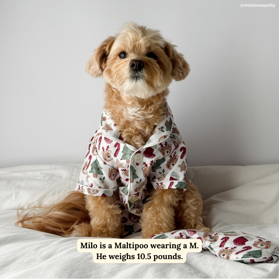 Jingle Bells Pajamas + Human Eye Pillow