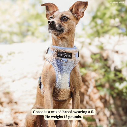 Blue Check Fleece No-Pull Harness