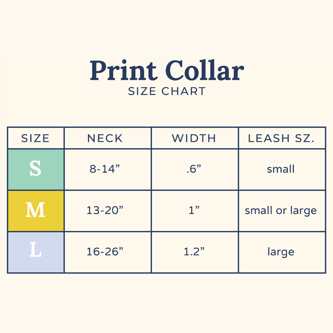 Snow Much Fun Collar