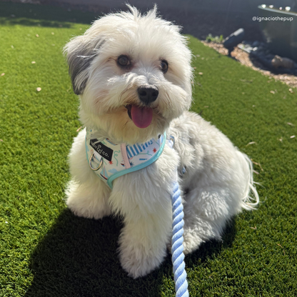Denim Blue Hands-Free Rope Leash