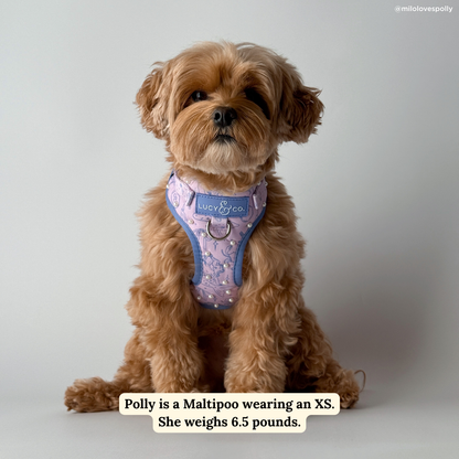 Magnificent Mermaids Pearl No-Pull Harness