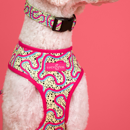 Rolling Around Malibu Reversible Harness