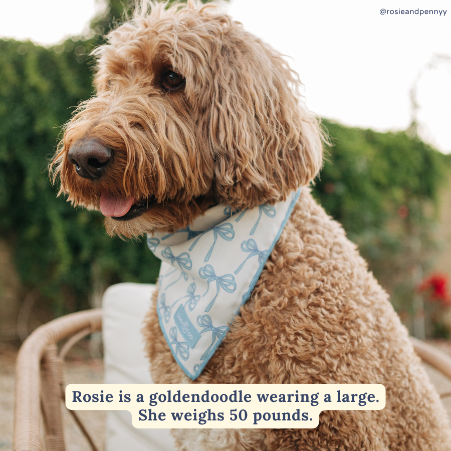 Bowwow Wow! Bandana