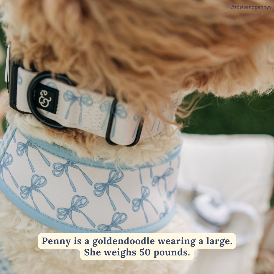 Bowwow Wow! Collar