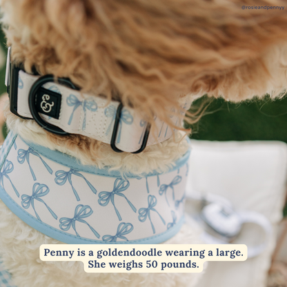 Bowwow Wow! Collar