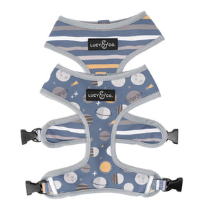 Lost in Space Reversible Harness