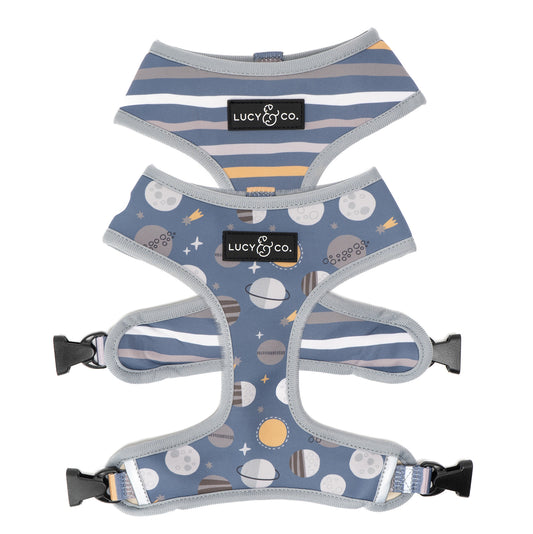 Lost in Space Reversible Harness