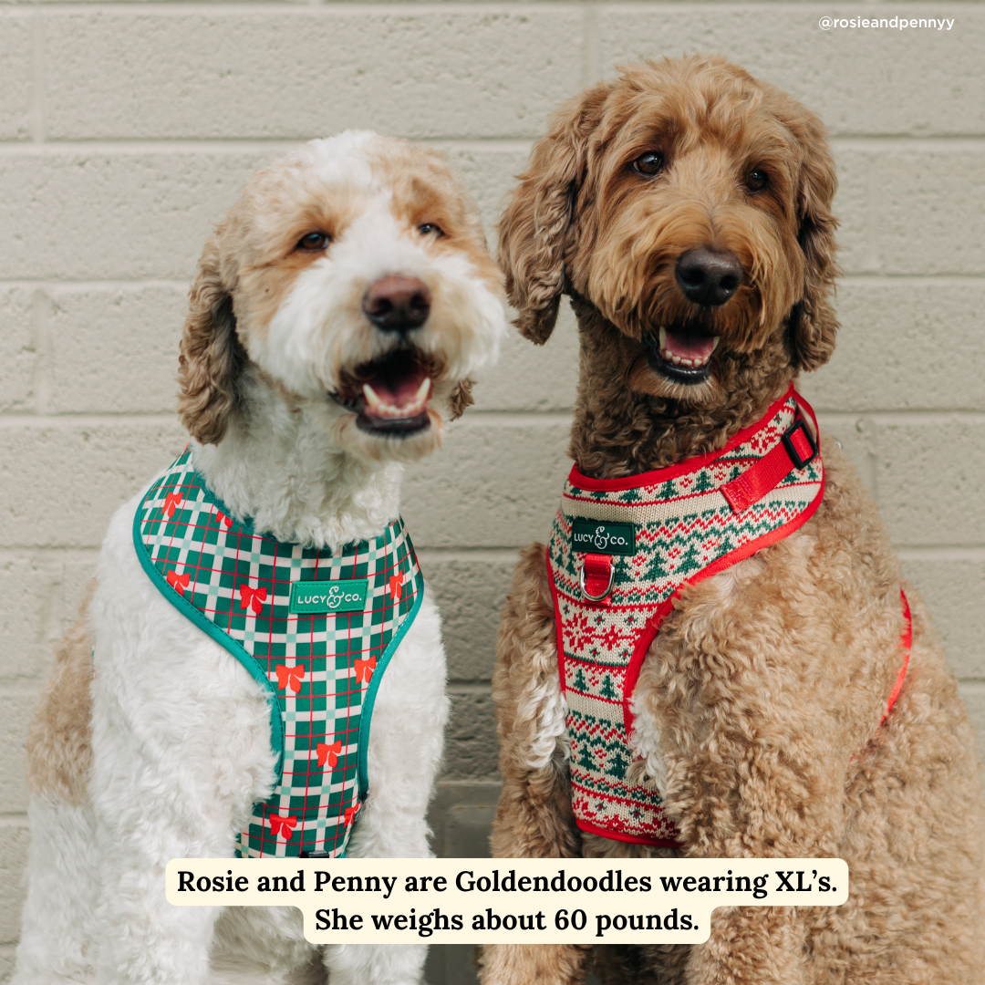 Let it Snow No-Pull Harness