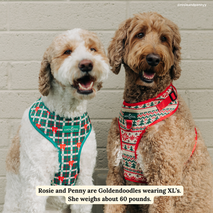 Let it Snow No-Pull Harness