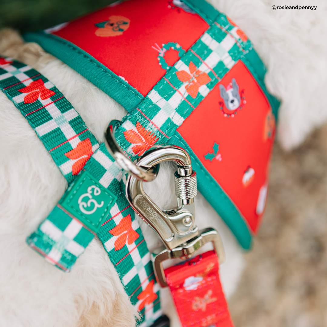 Happy Howlidays Reversible Harness