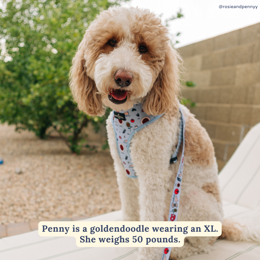 Italian Vacay Reversible Harness