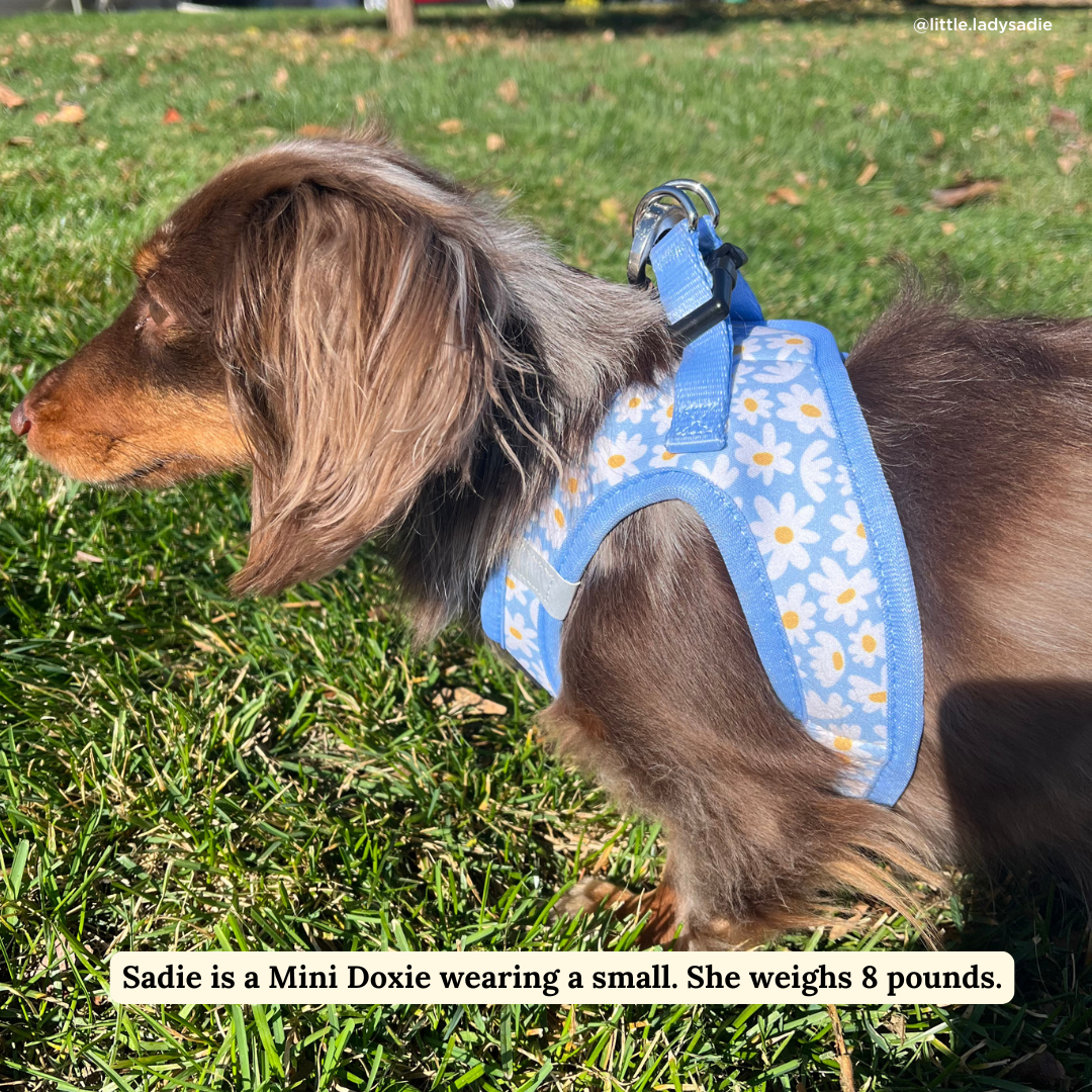 Simply Splendid Step-in Cat Harness