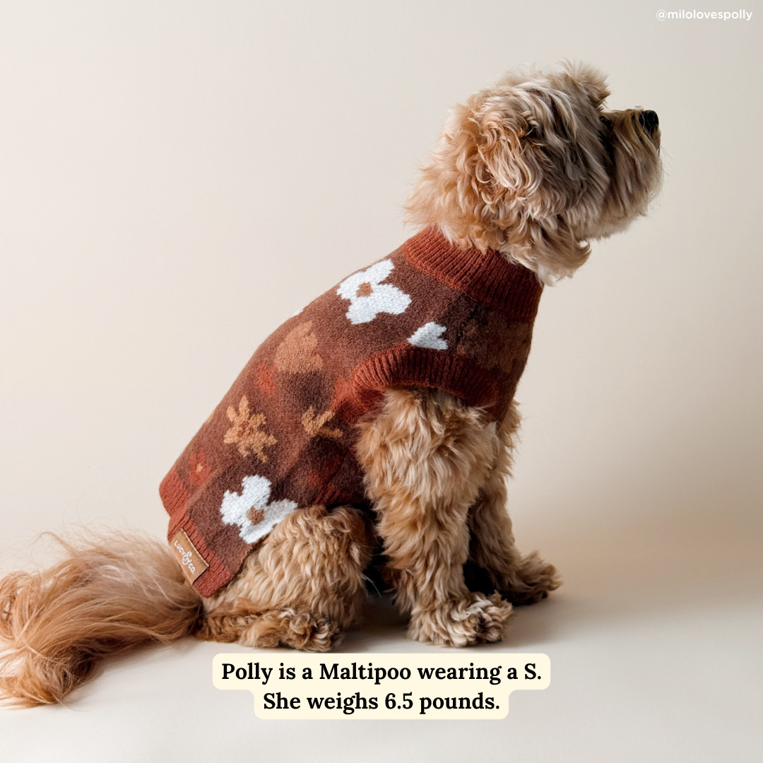 Chocolate Meadows Sweater