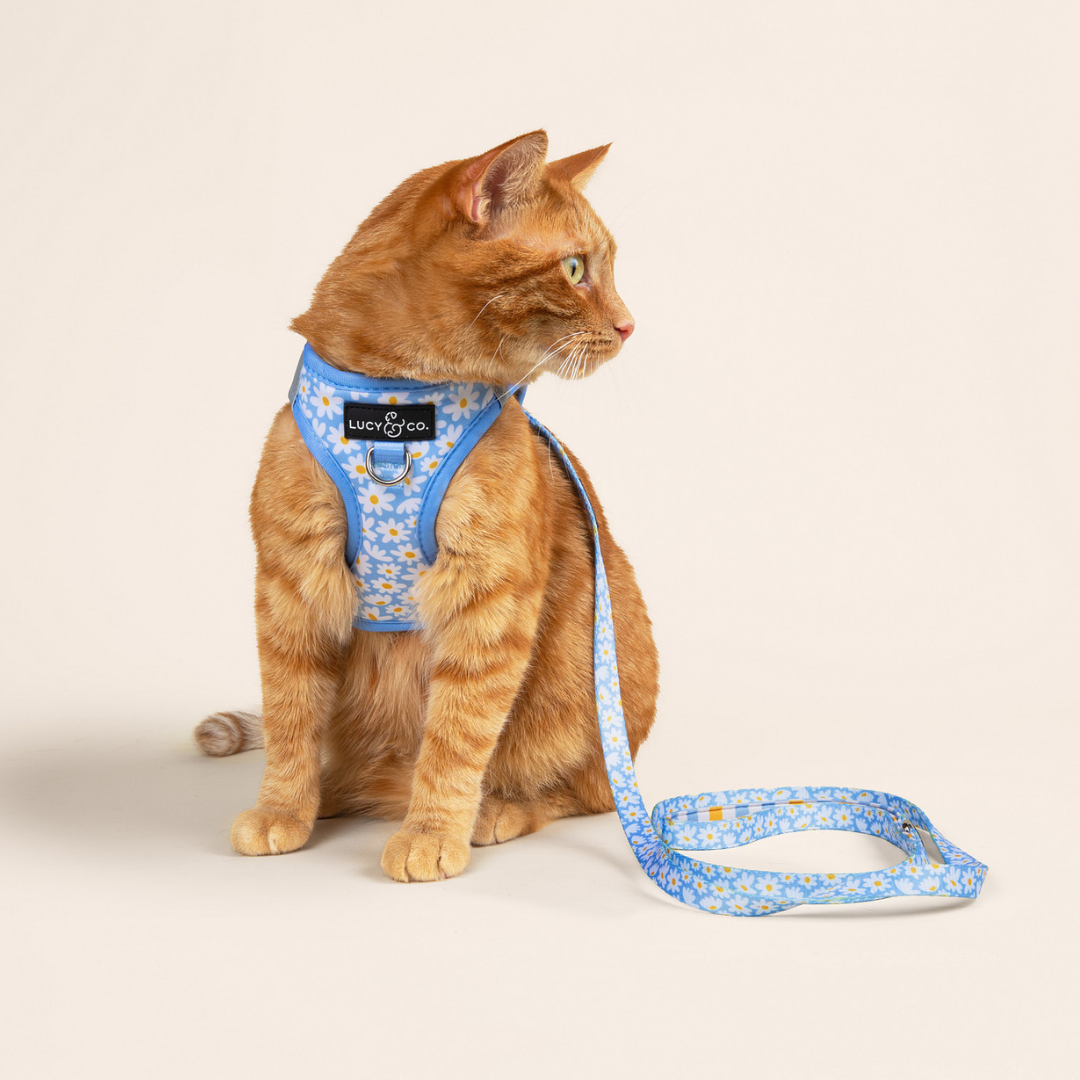 Simply Splendid Step-in Cat Harness
