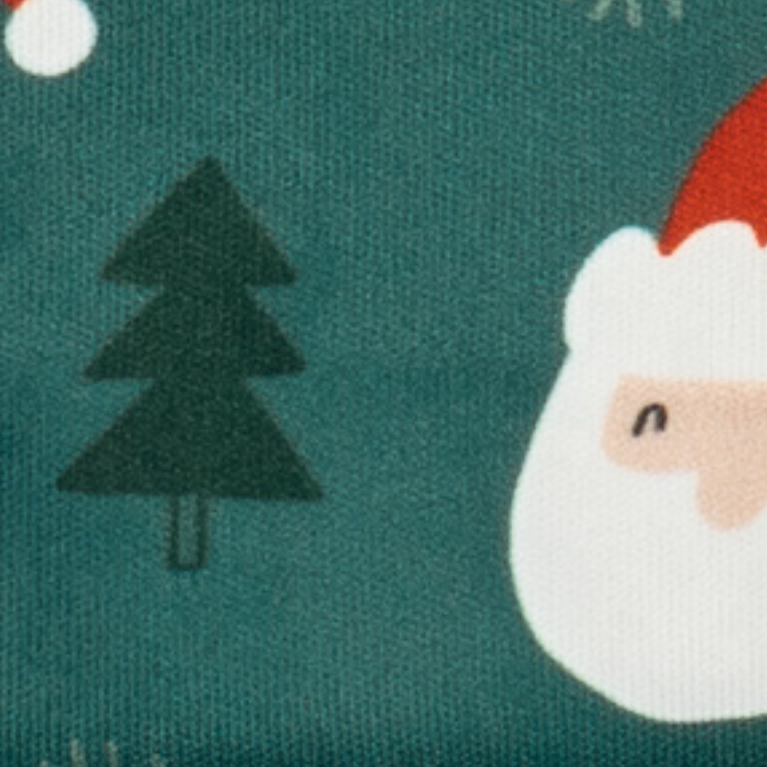 Santa Land Reversible Harness