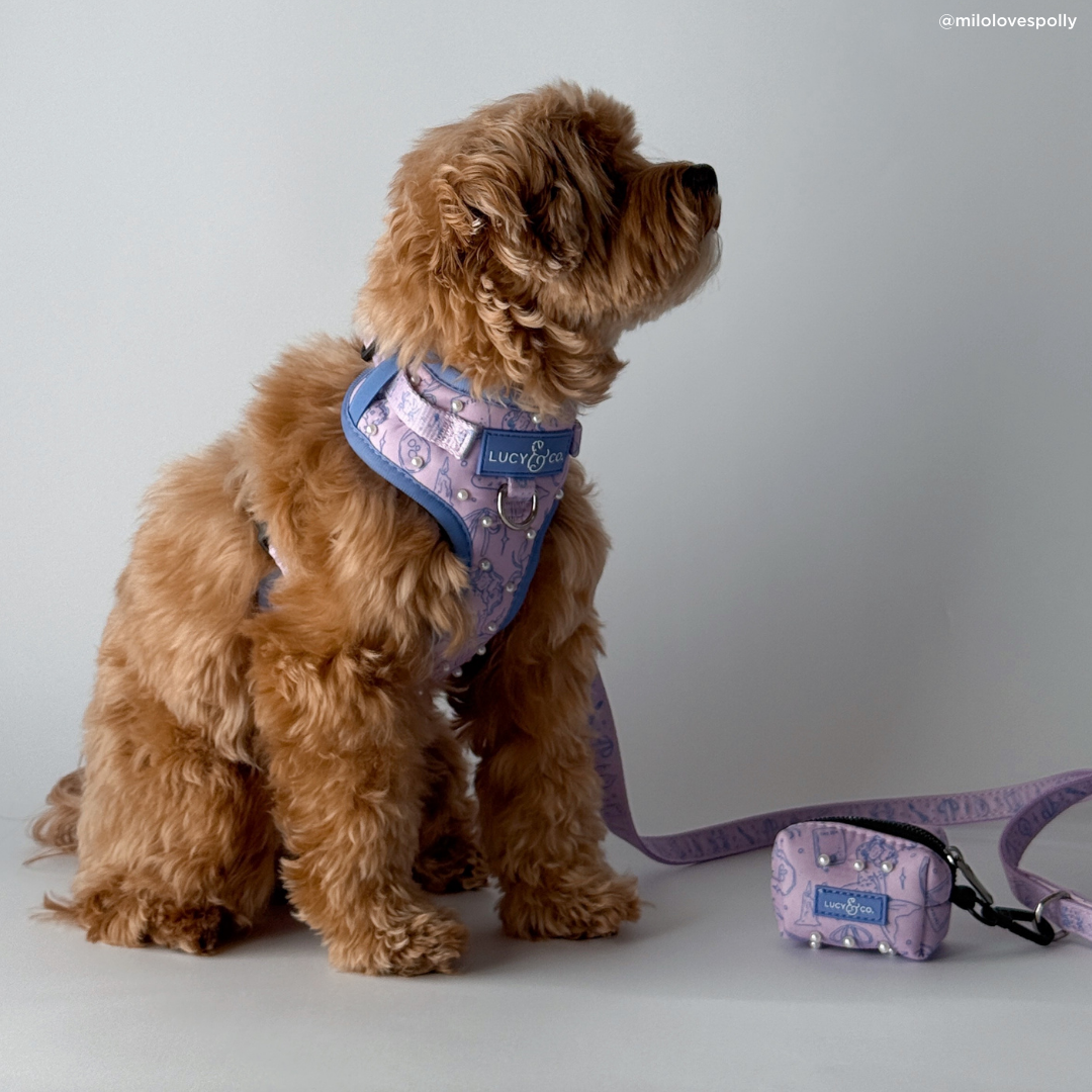 Magnificent Mermaids Pearl No-Pull Harness