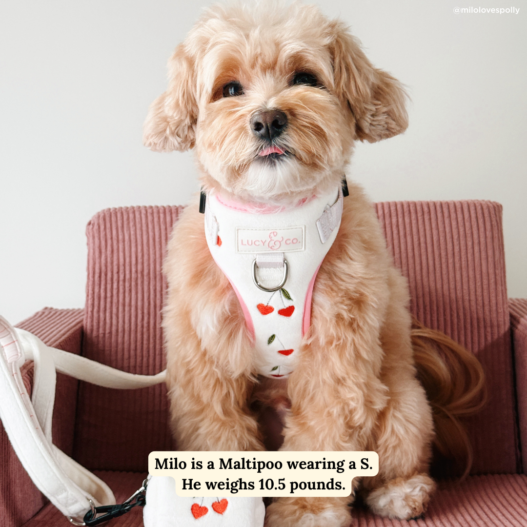 Soft White Velour Leash