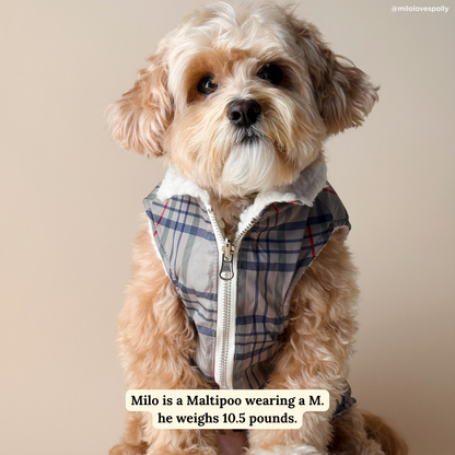 Mad for Plaid Reversible Teddy Vest