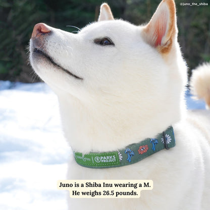 Lucy & Co. x Parks Project Power to the Parks Collar