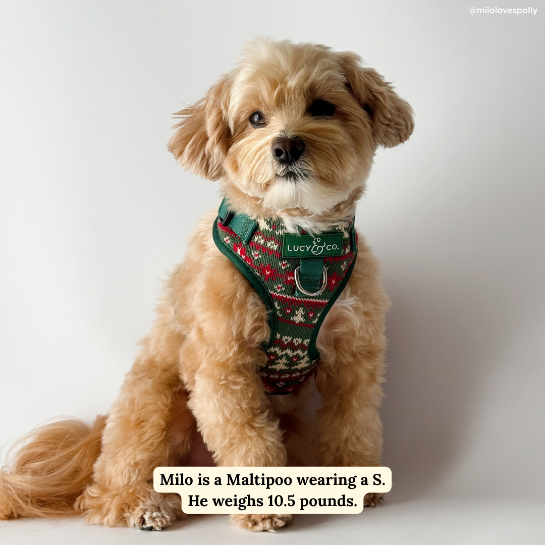 Cozy Cheer No-Pull Harness