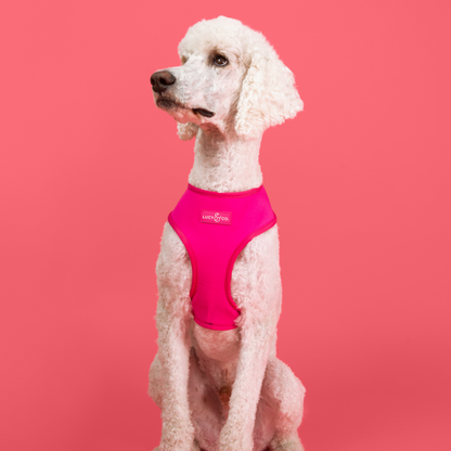 Rolling Around Malibu Reversible Harness