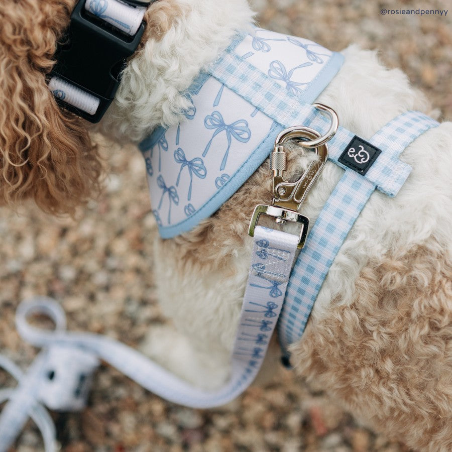 Bowwow Wow! Leash